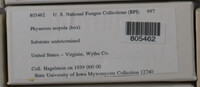Image Associated With the Occurence